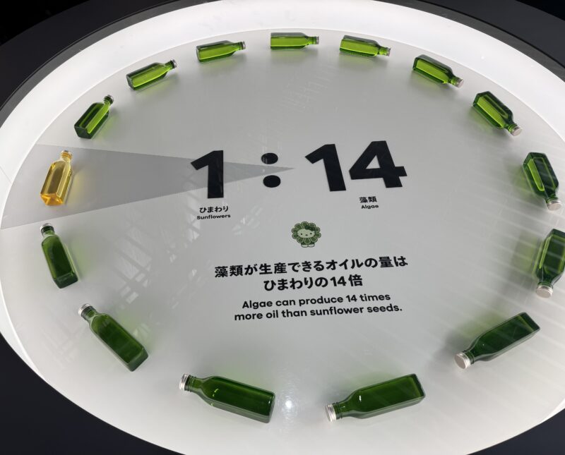 2025年的・万博体験記